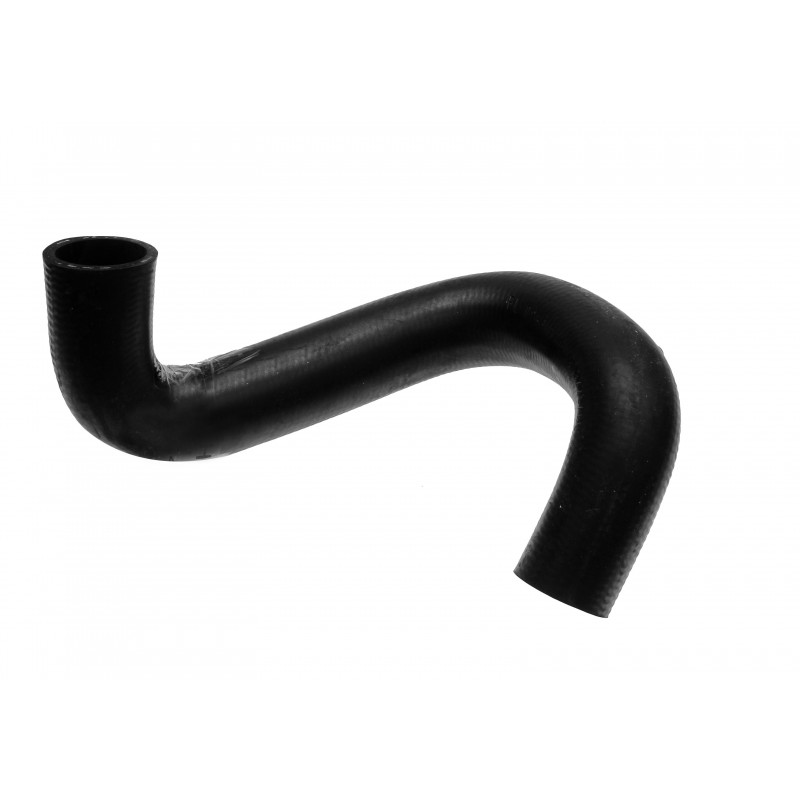 ШЛАНГ (ШЛАНГ) CAT