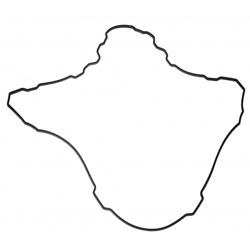 Прокладка клапанной крышки CAT