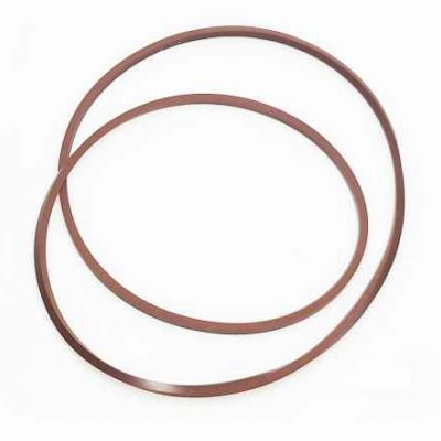 5191498 Уплотнительное кольцо OEM