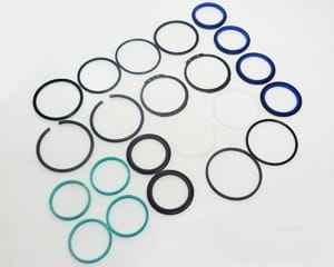 G001990010870 Уплотнители Торсионного Привода