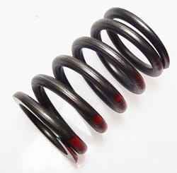 3055060r1 пружина клапана