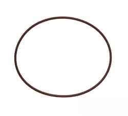1286081C1 Oring
