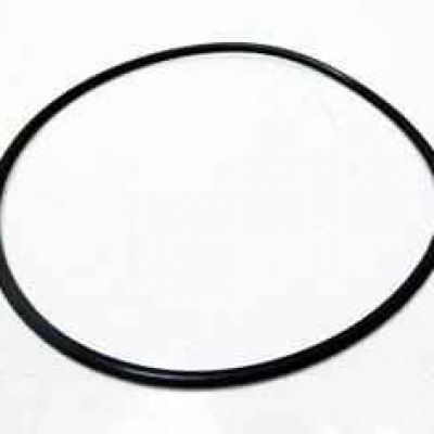 7700031643 Oring