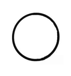 17284281 Oring