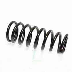 R910947314 Пружина