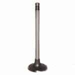 04192438 Всасывающий Клапан