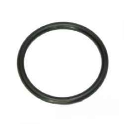 14464281 Oring