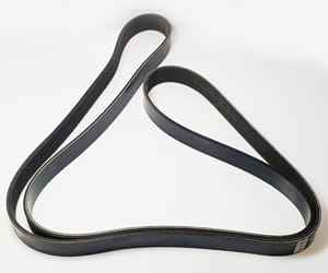 T253921 Ремень