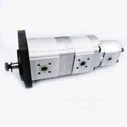 0517666302 Гидравлический Насос