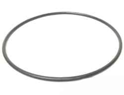 7700021213 Oring