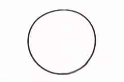 34060610 Oring