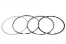 04174717 NPR std кольца