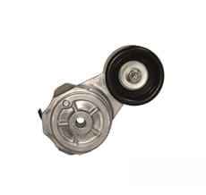 86013886 6005021644 RE59702 натяжитель ремня