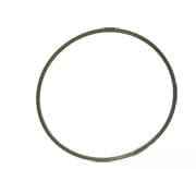 7700020457 Oring