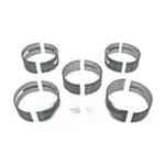 02192002 вертлужная впадина STD