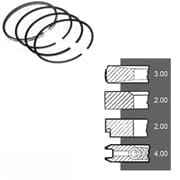 7701201835 кольца NPR STD