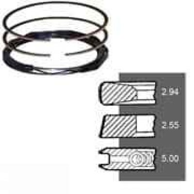 6005002647 кольца Powerseal STD