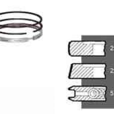 6005000939 кольца VAP STD