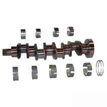 6005005039 коленчатый вал