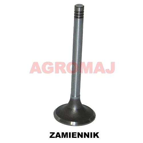 MWM всасывающий клапан D226-4 D227-6