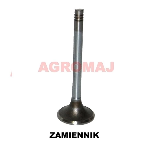 MWM выпускной клапан D226-3 D227-6