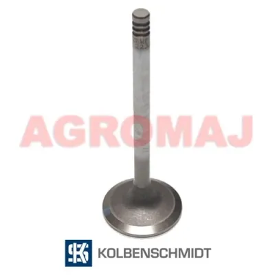 DEUTZ всасывающий клапан TD2012L042VM BF6M2012C