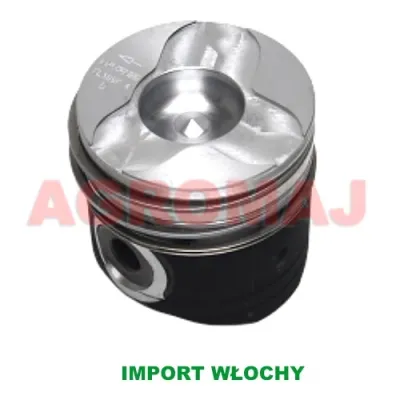 SAME поршень КПЛ. 105,00 1000.6WTI3V3 1000.6WTI3V1