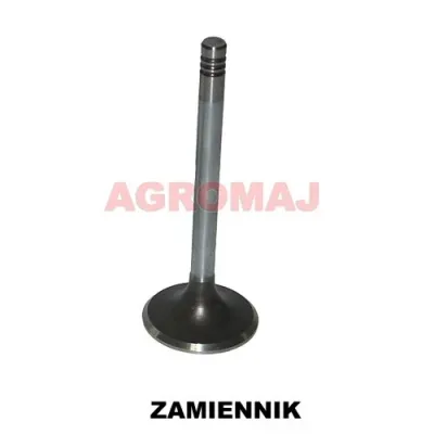 MWM всасывающий клапан TD226-B6 TD226-B3