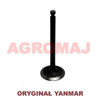 YANMAR всасывающий клапан 3tne68 2TNE68