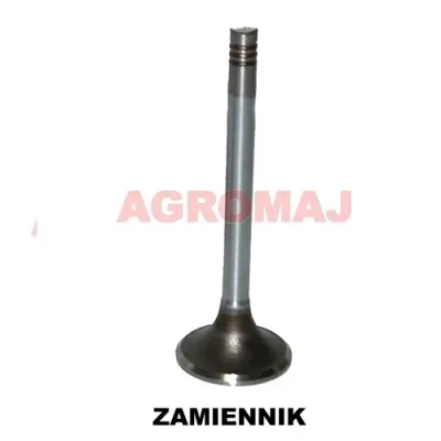 MWM выпускной клапан D226-3 D227-6