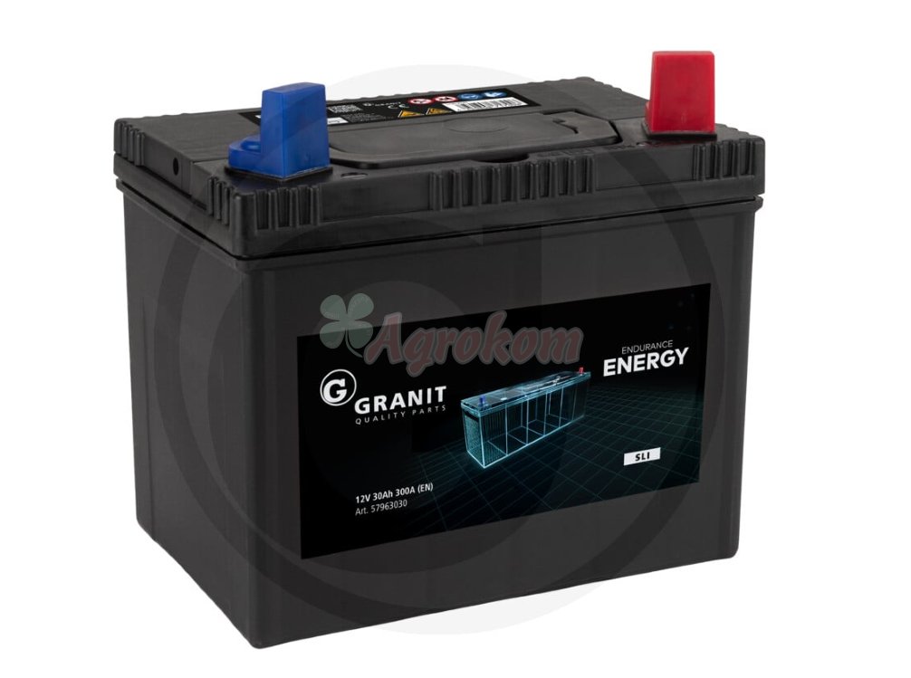 Аккумулятор 12 В / 30 Ач ENDURANCE ENERGY
