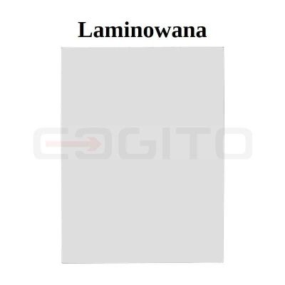 ПРОКАТАННОЕ ВЕТРОВОЕ СТЕКЛО КОЛЕСНЫЙ / ГУСЕНИЧНЫЙ ЭКСКАВАТОР LIEBHERR A904C R924C XL