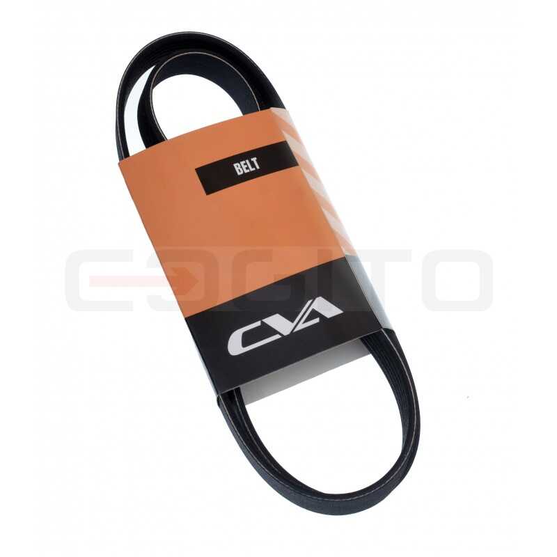 Пасечник белоцветковый CVA
