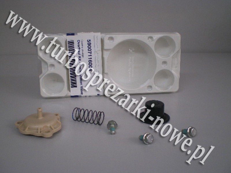 Комплект для ремонта рециркулятора BorgWarner KKK