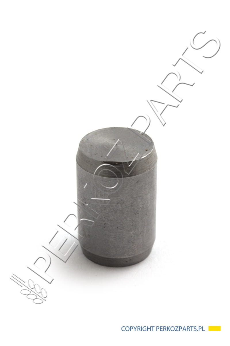 ФИКСИРУЮЩАЯ ПРОБКА NEW HOLLAND CASE CNH 17275610