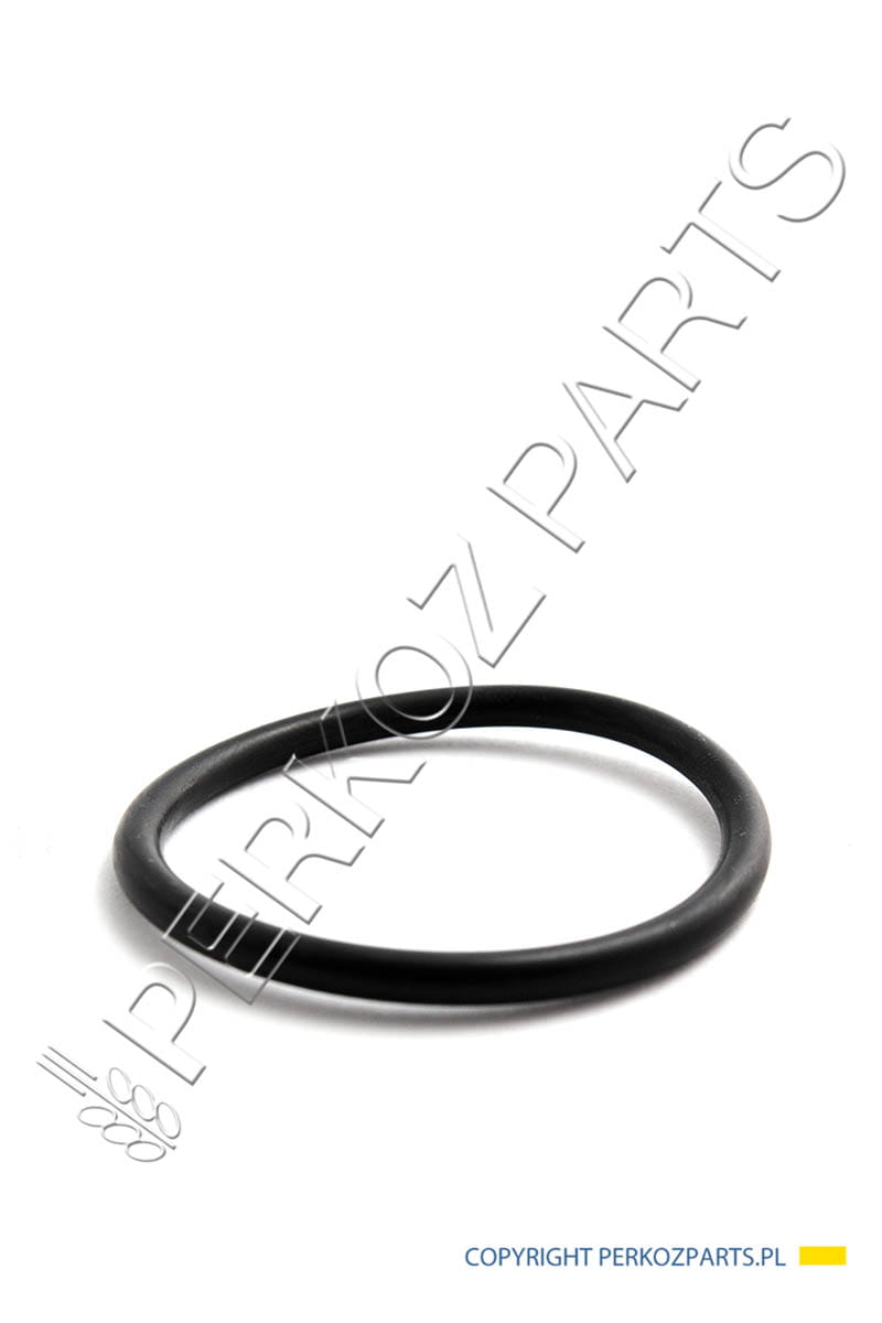 ORING NEW HOLLAND CASE CNH 181144A1  28623