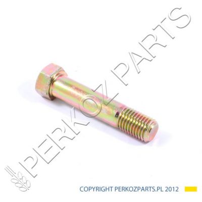ВИНТ M20X95 032895