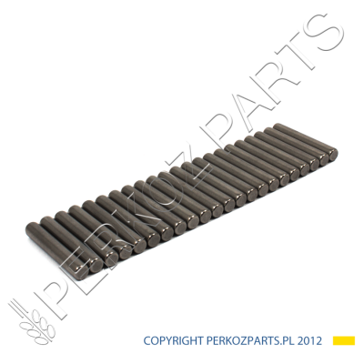 ИГОЛЬЧАТЫЙ РОЛИКОВЫЙ ПОДШИПНИК ПЛАНЕТАРНЫХ КОЛЕС NEW HOLLAND CASE 5145492