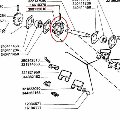 ШЕСТЕРНЯ ЛОПАСТНЫХ КОНВЕЙЕРОВ LAVERDA 300132810